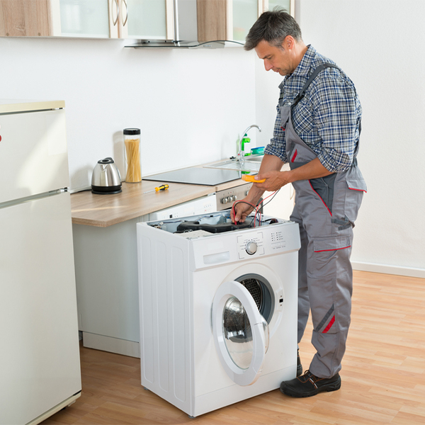 what are common issues that can arise with a washer in Berrien County